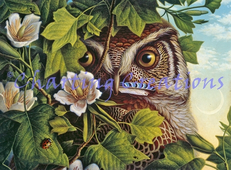 Owl